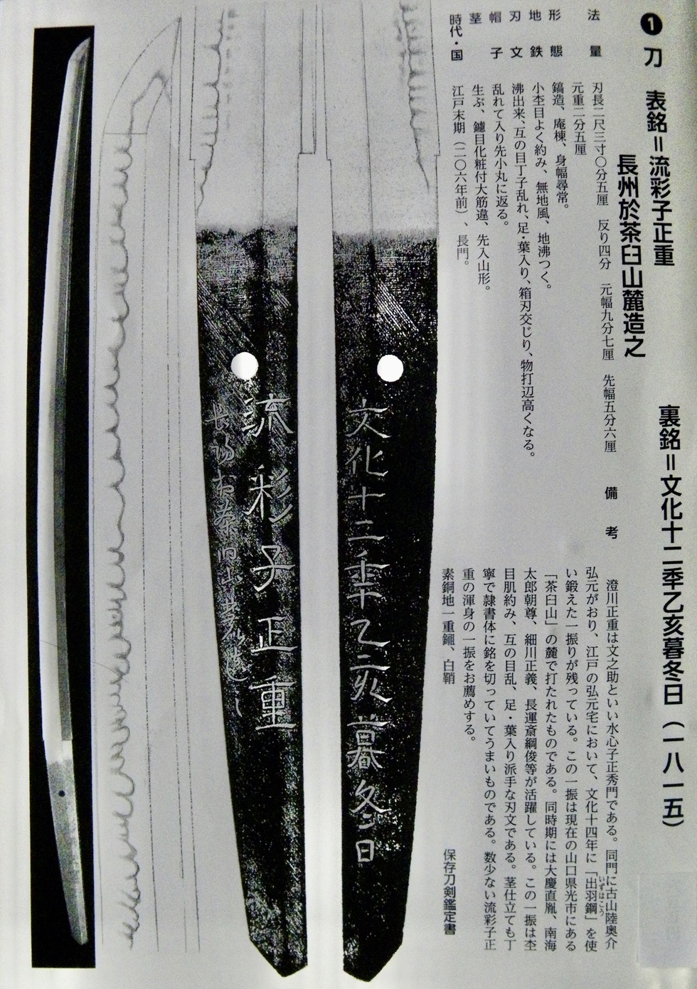 新着情報
